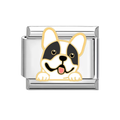 Charm Perro Bull Dog