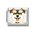 Charm Perro Schnauzer