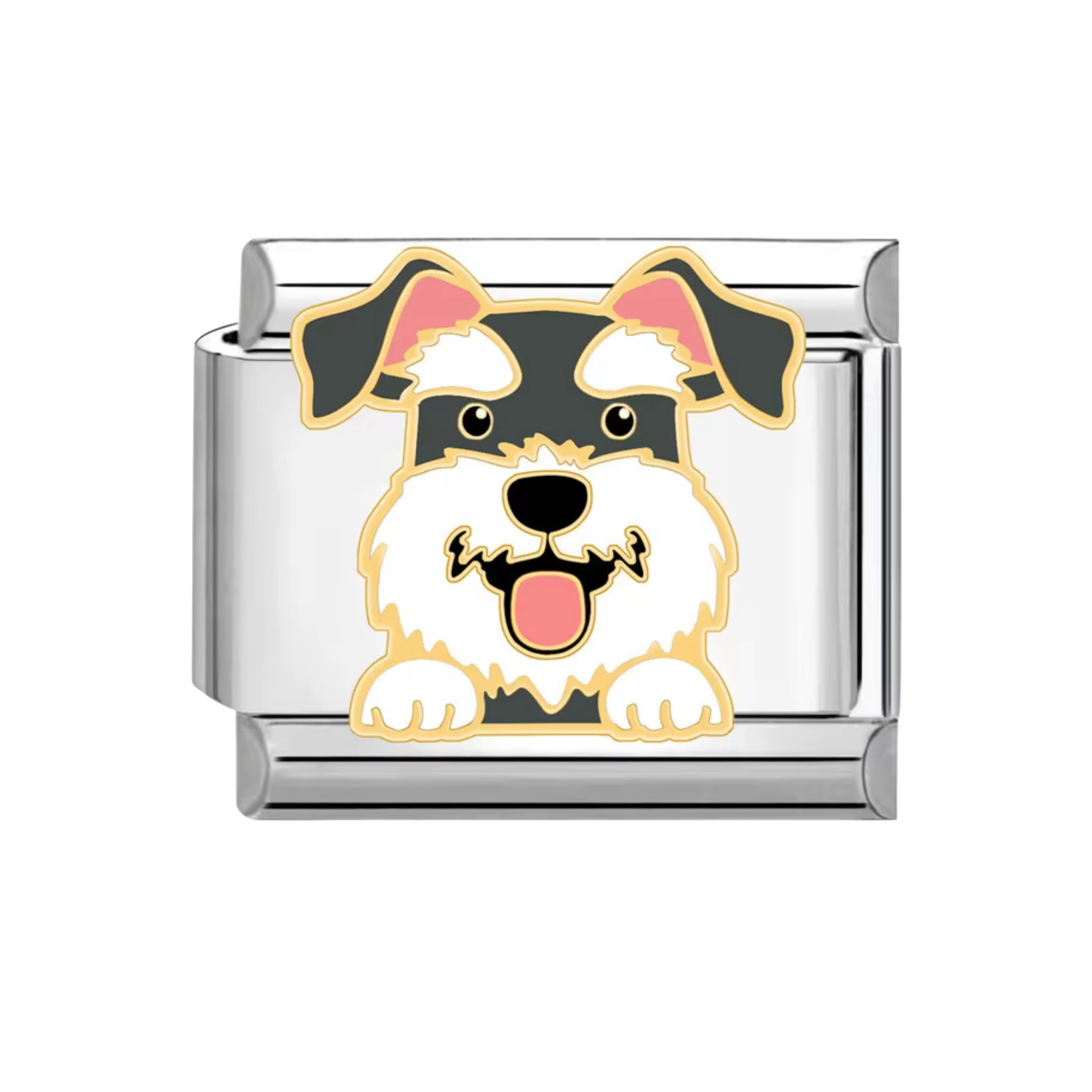 Charm Perro Schnauzer