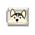 Charm Perro Husky / Alaska